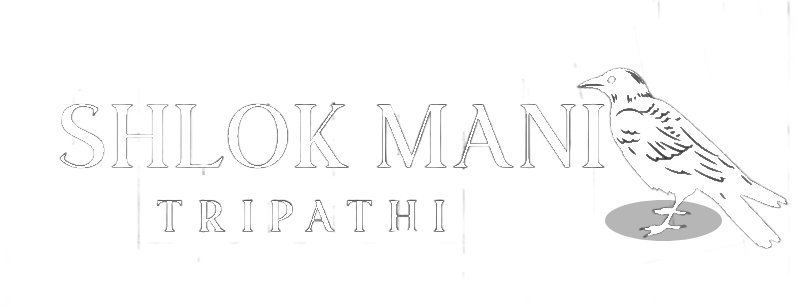 Shlok Mani Tripathi